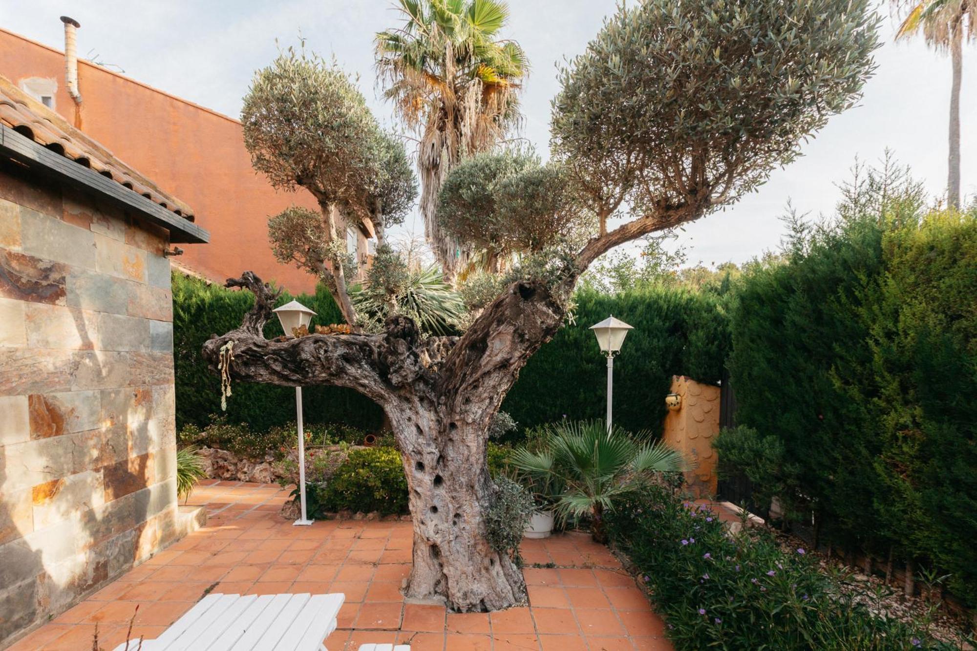 Chalet, Villa Rodeada De Naturaleza Piscina A Doce Klm De Valencia Y 7 Del Aeropuerto Eksteriør billede